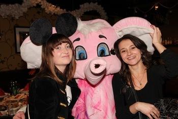 Новый Год - 2013